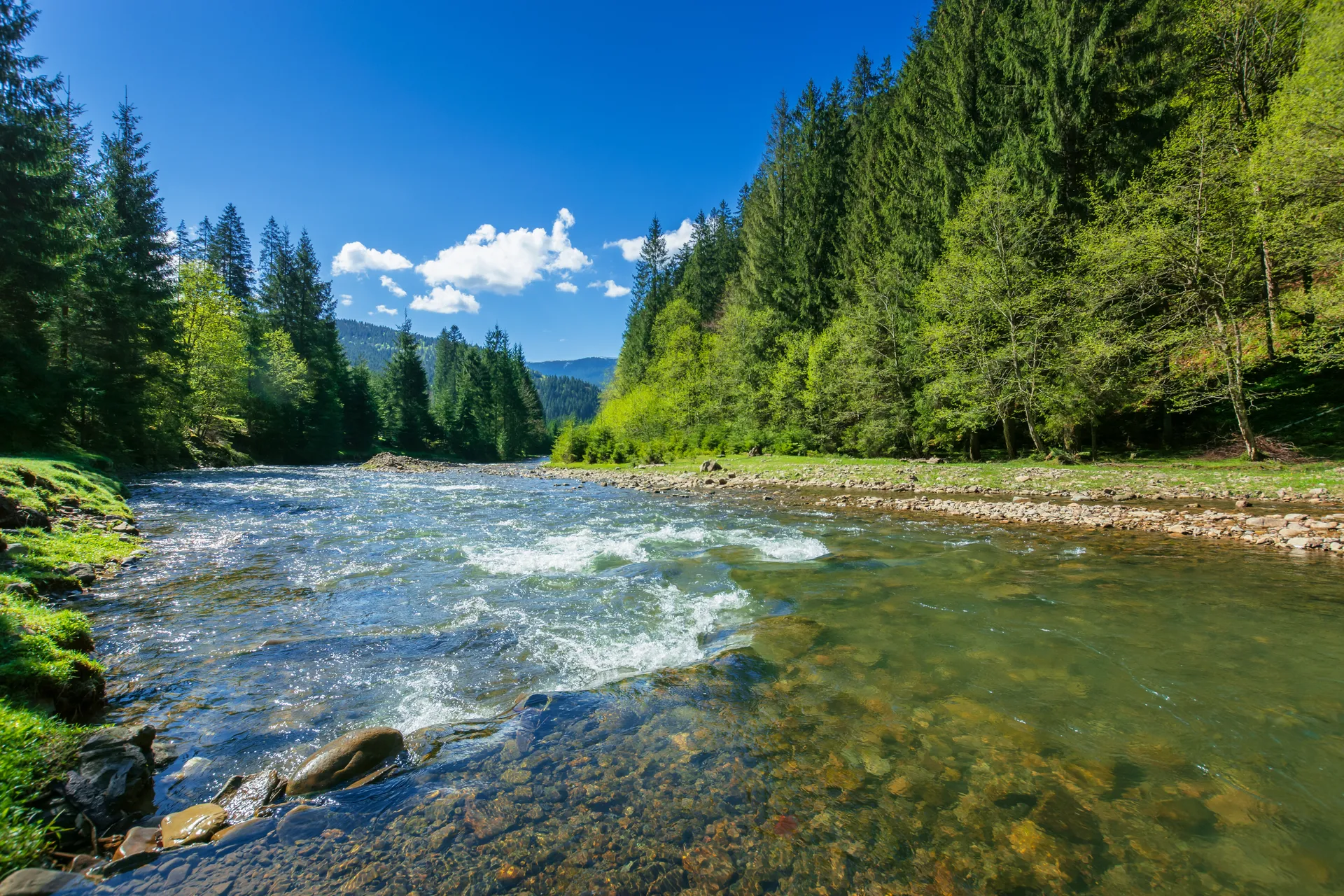 Nature 1