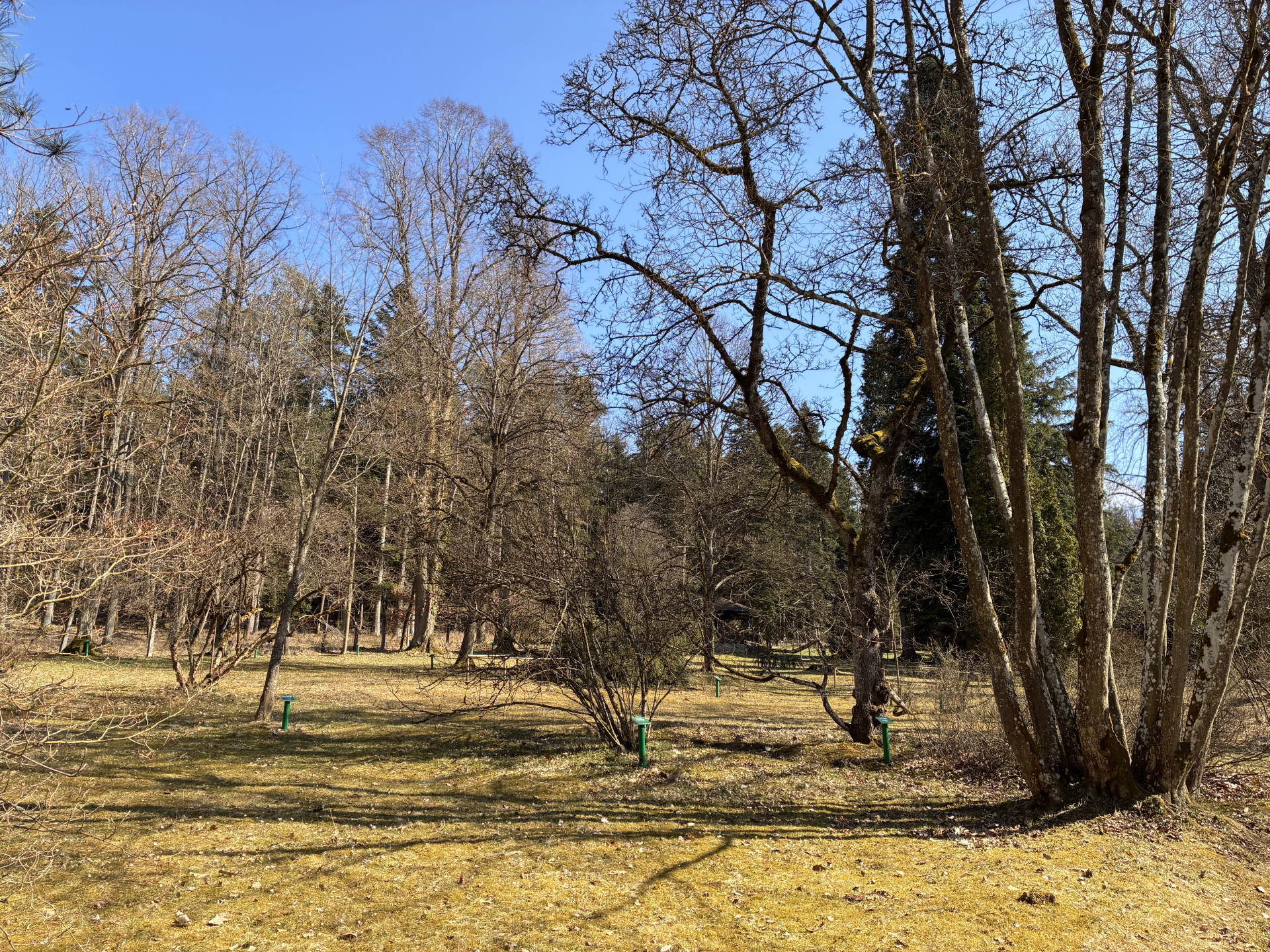 americká zahrada